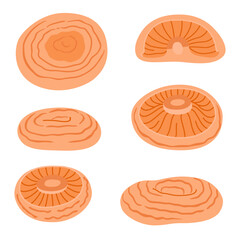 Saffron milk cap. Edible forest mushroom flat icon. Hand Drawn delicious milk cap. Fungus Group Engraved. Red pine mushroom Isolated on white background. Vector illustration