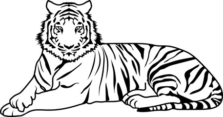 wildlife tiger outline