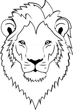 lion head vector