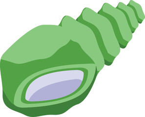 Green sea shell icon isometric vector. Marine element. Aquatic animal