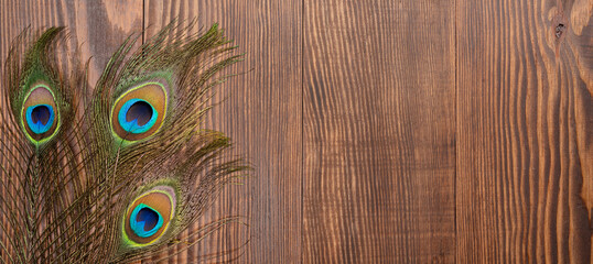 Peacock feathers on wooden background
