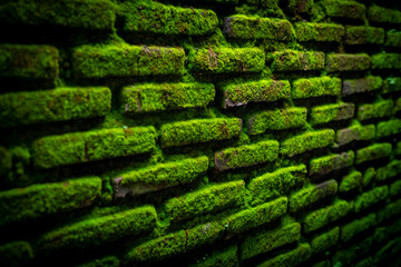 wall