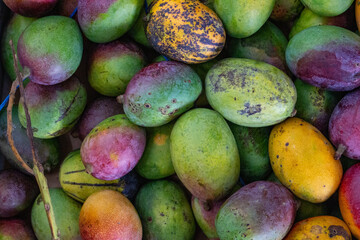 Mangas. Background de mangas. Frutas	