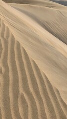 sand dunes in the desert