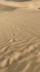 sand dunes in the desert