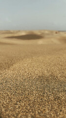sand dunes in the desert