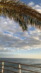 sunset on the beach with palm and sea