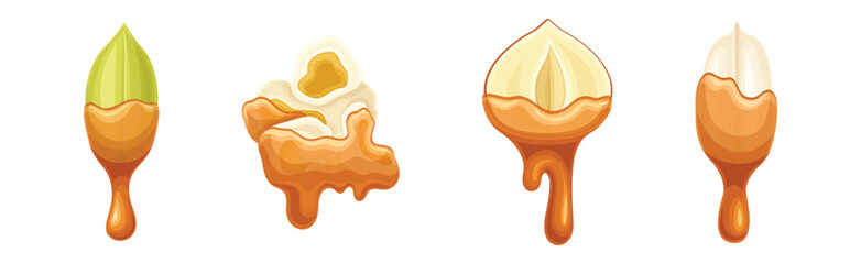 Nut Edible Seed with Dripping Chocolate or Caramel Melting Liquid Vector Set