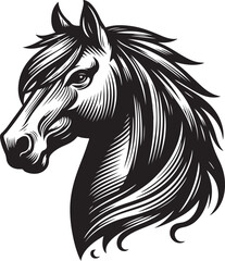 horse illustration