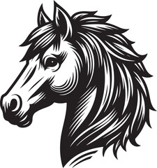 horse illustration