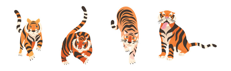 Tiger Predator Jungle Animal with Striped Coat Vector Set