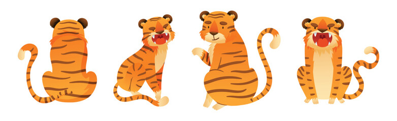 Funny Tiger Predator Jungle Animal with Striped Coat Vector Set