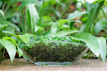 wild garlic vegetable into glass bowl