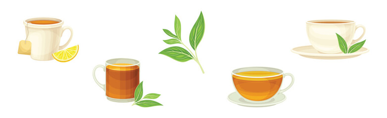 Tea Brewing with Green Leaf and Cup Vector Set