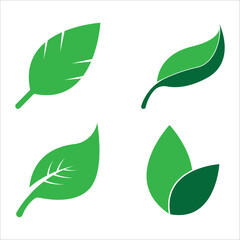 leaf icon