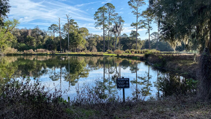 Amelia Island Foliage and Ponds