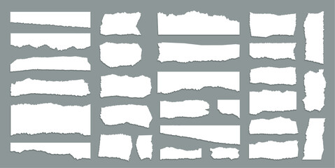 Set of Torn Paper Pieces on Gray Background