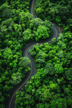 Aerial top view beautiful curve road on green forest in the rain season