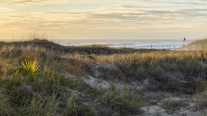 Sand Dunes on American Beach in Amelia Island at Sunrise