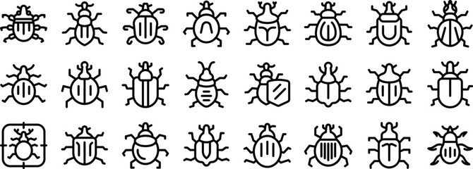 Weevil icons set outline vector. Palm insect. Leaf animal nature