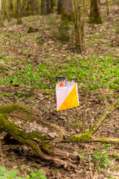 Orienteering. Control point Prism and electric composter for orienteering in the spring forest.