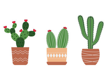 Set of cute cacti on a white background. Vector isolated illustration.