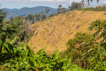 Deforestation near Luang Namtha town, Laos