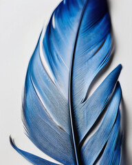 Blue Feather