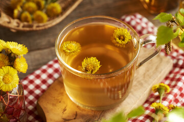 A cup of herbal tea with fresh coltsfoot flowers on a wooden table. Herbal medicine.