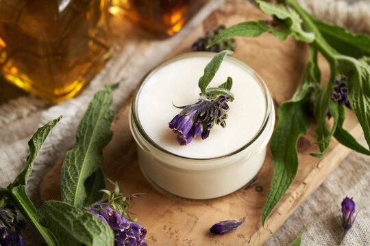 A jar of homemade comfrey ointment with fresh blooming symphytum officinale plant