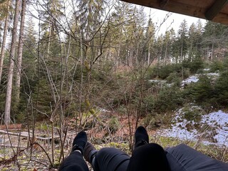 hiking in the woods