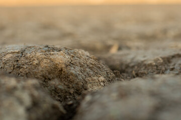 stone on the ground