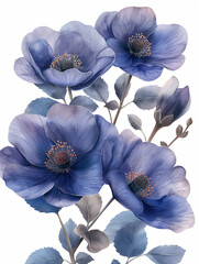 flowers on a white background