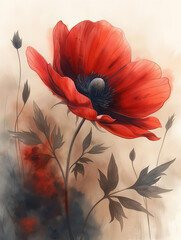 red poppy flower watercolor