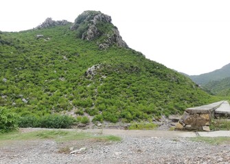 Mountain Majesty stands tall and timeless. Its rugged silhouette pierces the sky, draped in layers...