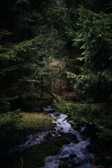 Wandern in den französischen Vogesen 