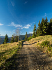 mountains in spring. Carpathians Ukraine
