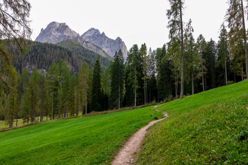 Scenic hiking trail on alpine meadow in panoramic valley Fischleintal near Moos. Panoramic view of...