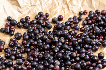 fresh frozen currants for long-term storage