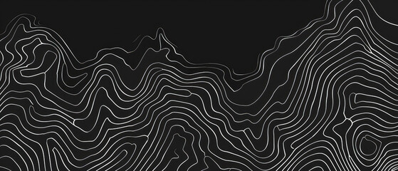 Abstract black and white contour lines - obrazy, fototapety, plakaty