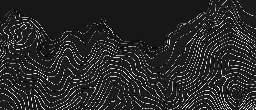 Abstract black and white contour lines