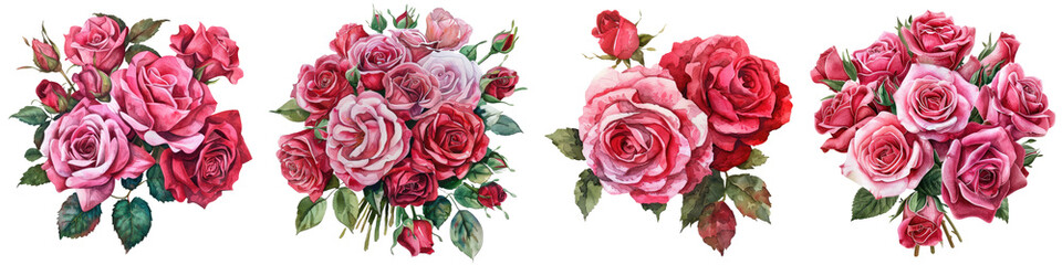Obraz premium Collection of pink and red color rose flowers bouquet watercolor cutout png isolated on white or transparent background 