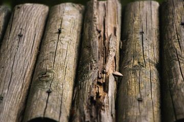 old wooden fence