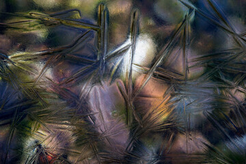 Stained glass of Baikal. Multi-colored pebbles under the thin transparent ice of Lake Baikal,...