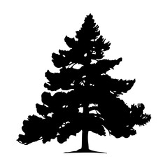 Fototapeta premium Pine Tree Silhouette Vector Clipart 