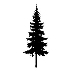 Obraz premium Pine Tree Silhouette Vector Clipart 