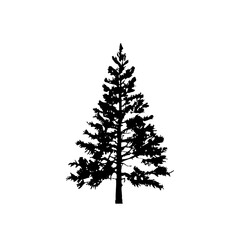 Pine Tree Silhouette Vector Clipart	