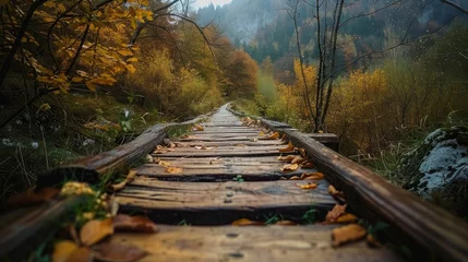 Foto op Plexiglas Wooden footpath in the autumn valley perspective © 2rogan
