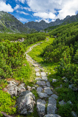 Stone trail path between green plants in Tatra Mountains n summer. On the background mountain peaks and blue cloudy sky.