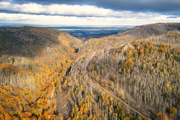 Luftaufnahme über herbstlichen Wald im Harz